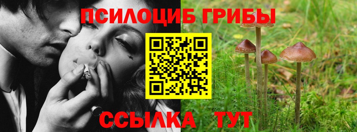 Аксай  Псилоцибиновые грибы мицелий  Вход с VPN 