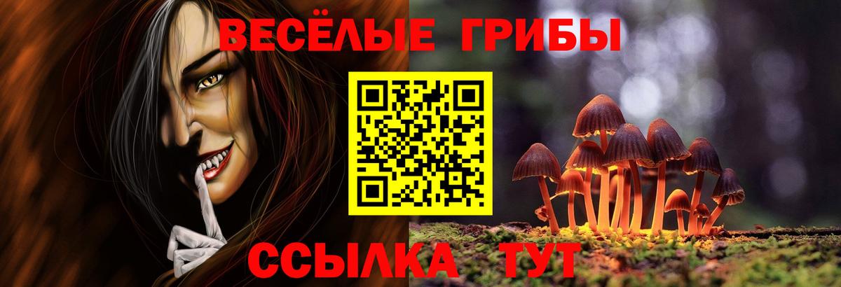 Галлюциногенные грибы GOLDEN TEACHER Аксай